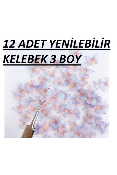 hediyehobihersey Hazır Kesilmiş Kelebekler ürün görseli 1