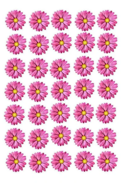 hediyehobihersey Pembe Papatyalar Şekerli Kağıda Baskı Yenilebilir Kağıt Pasta Baskısı ürün görseli 1