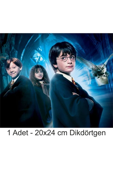 hediyehobihersey Harry Potter Büyük Boy 20x24 cm A4 Yenilebilir Pasta Kurabiye Şeker Hamuru Kağıt Baskısı Dikdörtgen ürün görseli 1