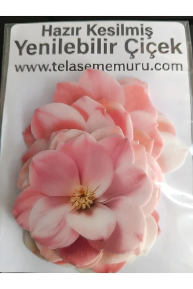 telaşe memuru TEK TEK HAZIR KESİLMİŞ - Yenilebilir Çiçek Pasta Süsü - Manolya Yenilebilir Kağıt Pasta Süsü - ürün görseli 1