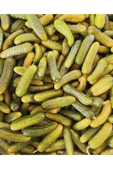 EFELER DİYARI Salatalık Turşu 500gr - Resim 4