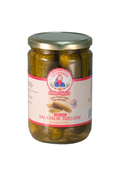 EFELER DİYARI Salatalık Turşu 500gr ürün görseli 1