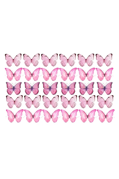 Yenilebilir Kağıt Wafer paper Pembe Kelebek Gıda Pasta Üzerine Yenilebilir Baskı A4 ürün görseli 1