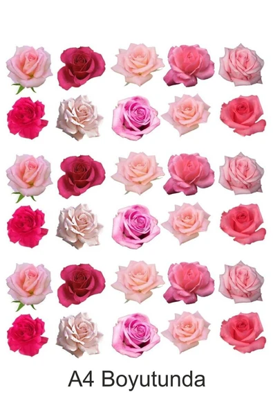 hediyehobihersey Pembe Güller Çiçekler Kek A4 Yenilebilir Süsü Pasta Kurabiye Şeker Hamuru Kağıt Baskısı Baskılı ürün görseli 1