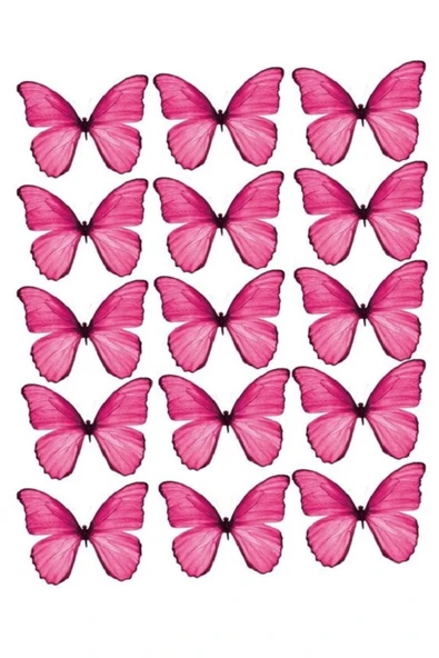 hediyehobihersey Pembe Kelebekler Şekerli Kağıda Baskı Yenilebilir Kağıt Pasta Baskısı ürün görseli 1