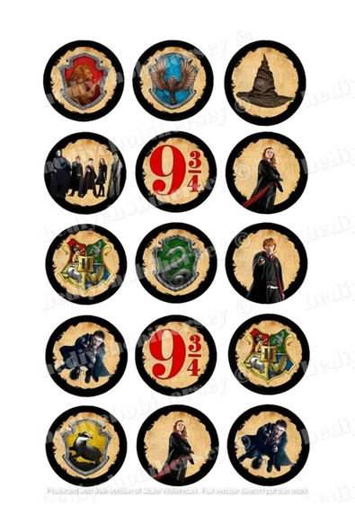hediyehobihersey Harry Potter Yenilebilir Resimli Pasta Kurabiye Üstü Şeker Kağıt Baskısı ürün görseli 1