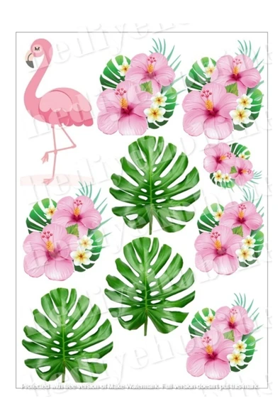 hediyehobihersey Yeni Flamingo Yenilebilir Gıda Baskısı, Yenilebilir Pasta Süsü, Kurabiye Şekerli Kağıt ürün görseli 1