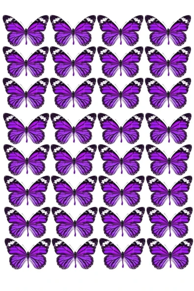 Yenilebilir Kağıt Wafer paper Yenilebilir Kağıt Gıda Baskı ürün görseli 1