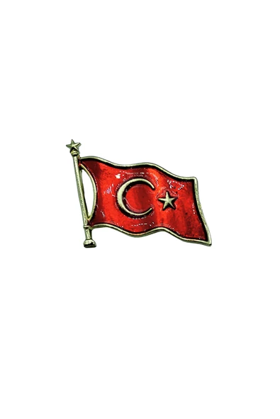 Işıltılı Türk Bayrağı Yaka İğnesi - Resim 5