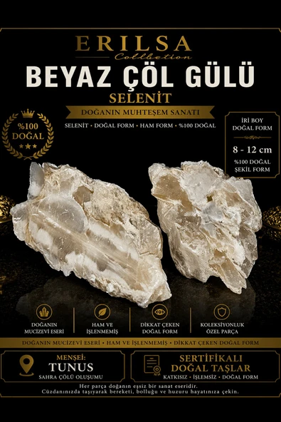 Sertifikalı Beyaz Çöl Gülü Selenit Taşı Kütle - 8-12 cm Diş Formu Doğal Kristal Ham Koleksiyonluk ürün görseli 1