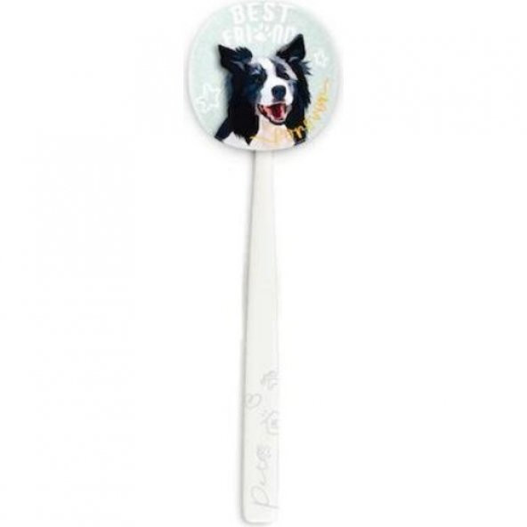 Rocs Flipper Pets Hijyenik Saklama Kabı ve Yetişkin Diş Fırçası Seti (Köpek) Beyaz ürün görseli 1