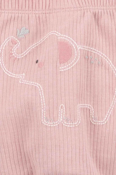 carters Layette Kız Bebek Alt Üst Set 3Lü Set - Resim 2