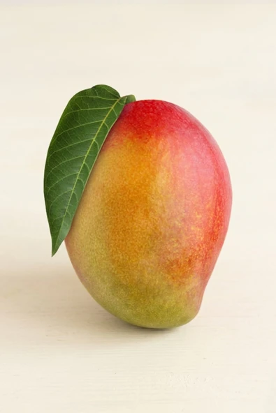 Süper Kalite Mango Meyve 1 Adet ürün görseli 1