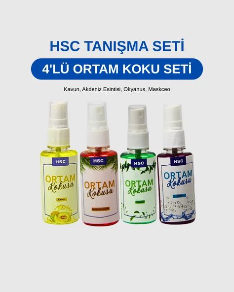 4LÜ Ortam Kokusu Seti ürün görseli 1
