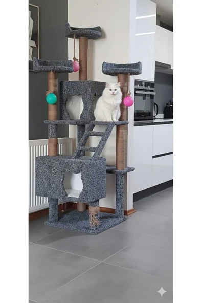 siyah beyaz pati KEDİ TIRMALAma ürün görseli 1