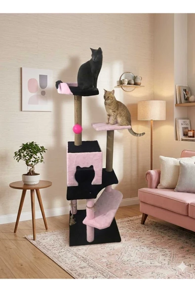 siyah beyaz pati Kedi Tırm ürün görseli 1