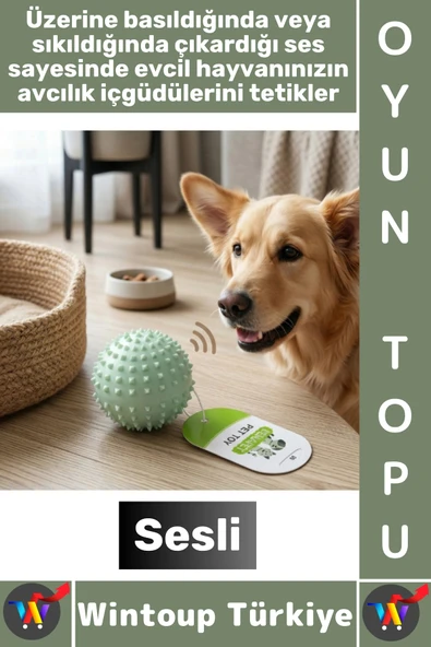 #Pet Evcil Hayvan Küçük Irk Köpek Avcılık İçgüdüsü Masaj Diş Kaşıma Sesli Dikenli Kedi Oyuncağı Topu ürün görseli 1