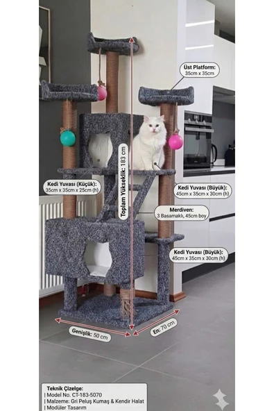 siyah beyaz pati kedi - Resim 2
