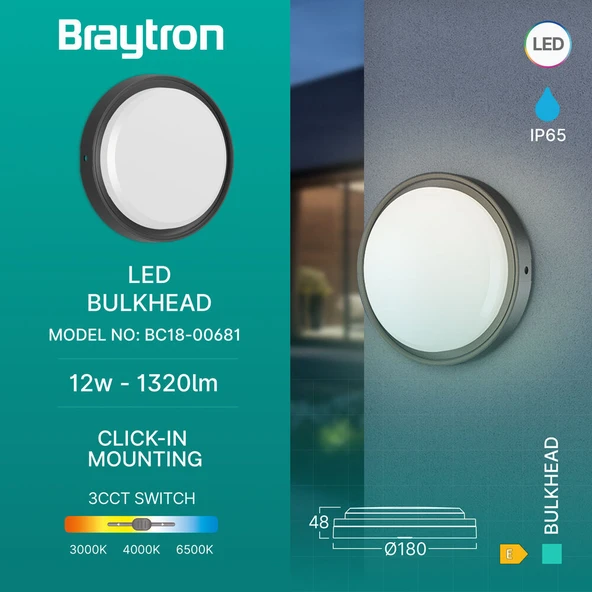 Braytron Modern Mimari İçin Su Geçirmez Oval Tasarım: 12W 3 Renkli LED Aplik ürün görseli 1