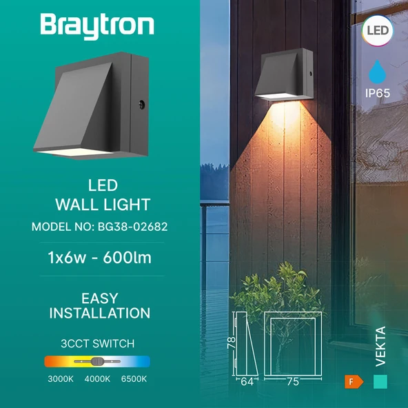 Braytron Siyah LED Dış Mekan Duvar Apliği - IP65 Dış Mekan Uyumlu ürün görseli 1