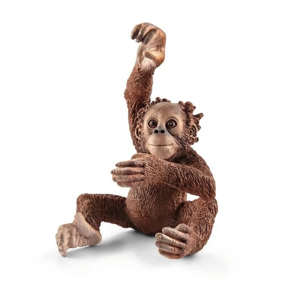 Yavru Orangutan ürün görseli 1