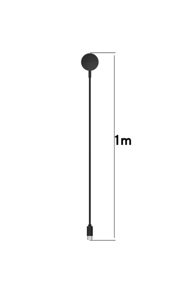 Watch Jw14 Type C Kablosuz Wireless Şarj - Siyah - Resim 3