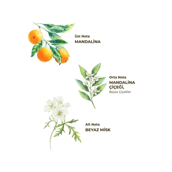 Kolonya Pet Şişe Sprey 150 ml Bodrum Man ası ürün görseli 1