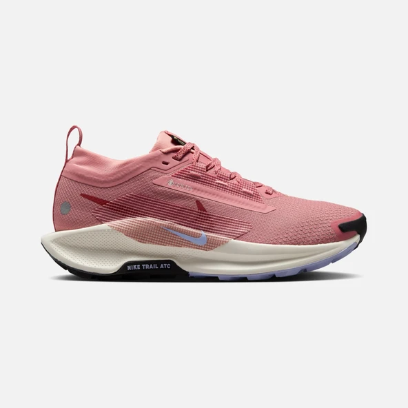 Nike Pegasus Trail 5 Gore-Tex Running Kadın Spor Ayakkabı ürün görseli 1