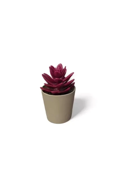 Saksılı Yapa Çiçek Sükülen Royaleks-5675 ürün görseli 1