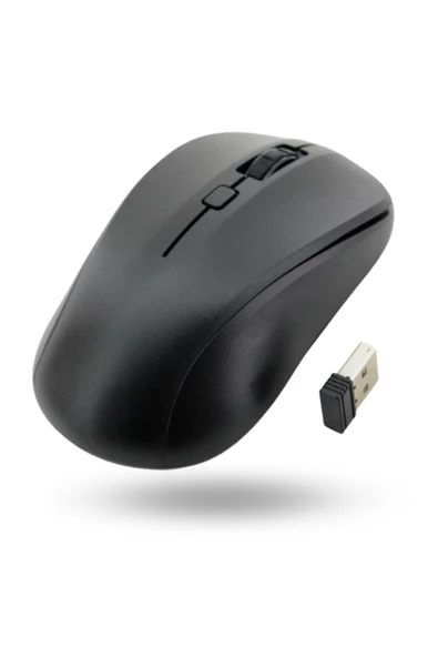 Büro Ev Ofis Bilgisayarı için 1600DP Wifi Mouse ürün görseli 1