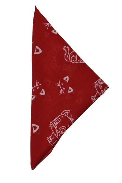artıbir bodrum Bandana Kedi Desenli ürün görseli 1
