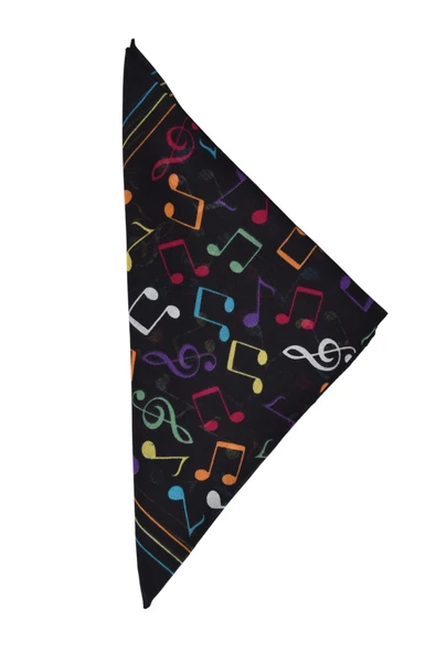 artıbir bodrum Bandana Notalı ürün görseli 1