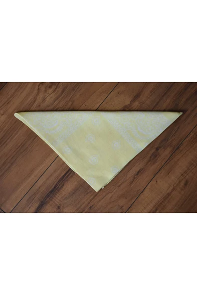 artıbir bodrum 5 al 4 öde %100 Pamuk Unisex Etnik Desenli Bandana ürün görseli 1