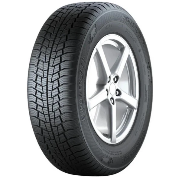 Gislaved Euro Frost 6 205/55R16 91T (Kış) (2024) ürün görseli 1