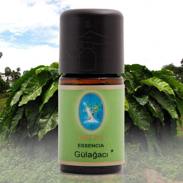 Nuka Organik Gül Ağacı Yağı 5ml ürün görseli 1