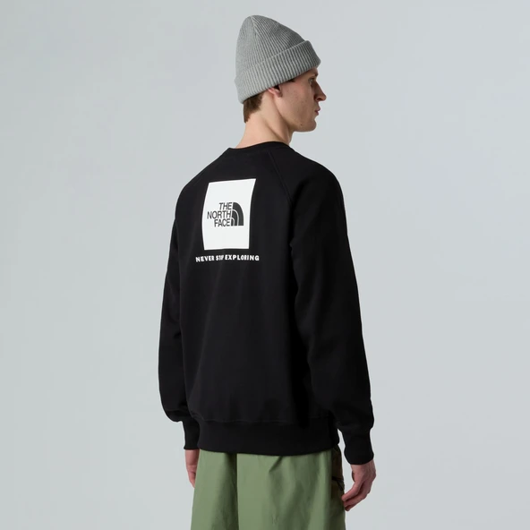 The North Face M RAGLAN BOX NSE REGULAR CREW Erkek Sweatshirt NF0A89FAJK31 ürün görseli 1