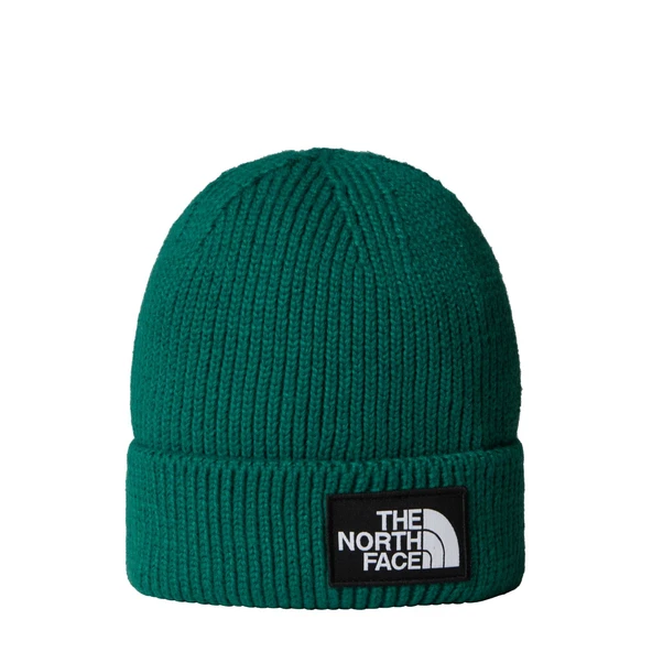 The North Face TNF Logo Box Cuffed Unisex Bere NF0A8CHENL11 ürün görseli 1
