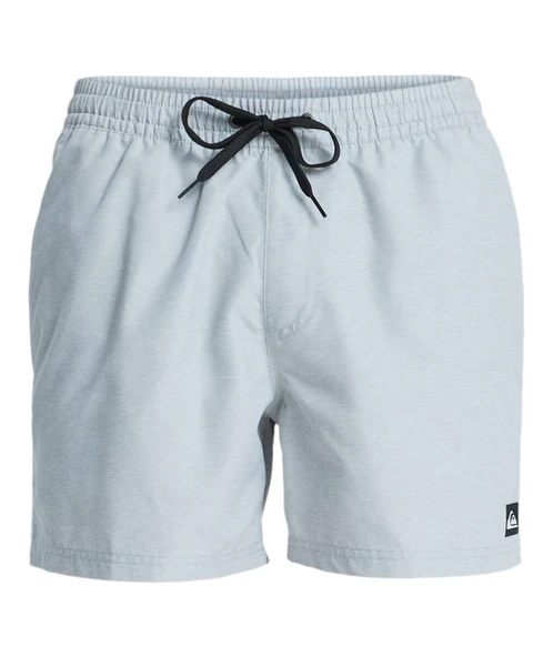 Quiksilver EVERYDAY 15 Erkek Şort EQYJV04120-QK.3082 ürün görseli 1