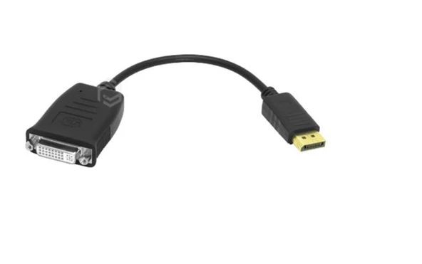 Frisby FA-6644C Display Port - DVI-D Aktif Dönüştürücü ürün görseli 1