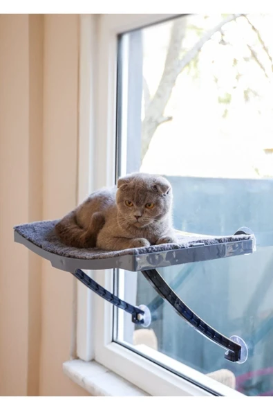 Vantuzlu Cam ve Duvar Kedi Yatağı - Resim 2