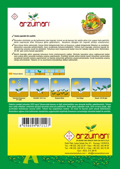 Arzuman Tere Tohumu - Resim 2