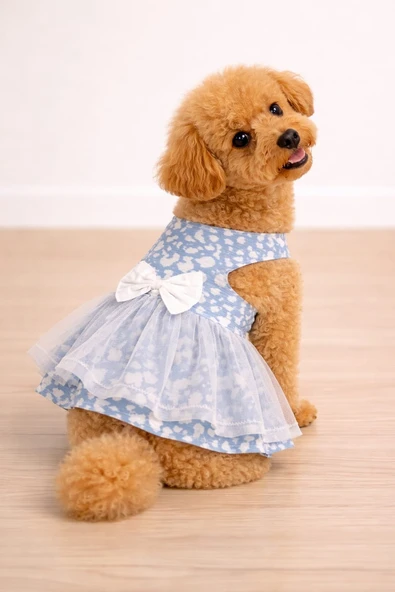 köpek elbisesi ürün görseli 1