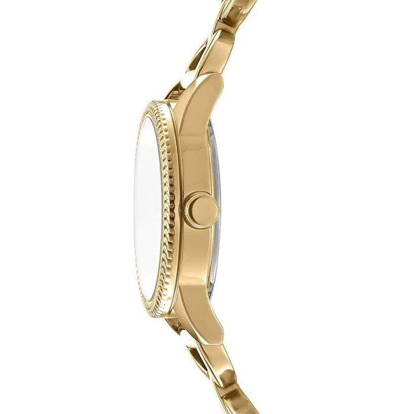 DKNY DK1L113M0245 Kadın Kol Saati - Resim 2