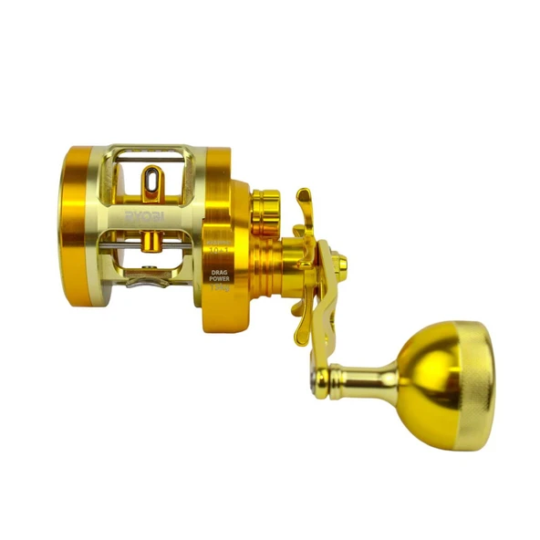 Ryobi Varius GR 30 L Çıkrık - Resim 4