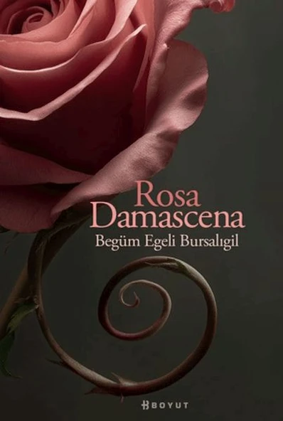 Rosa Damascena (Damask Gülü) ürün görseli 1
