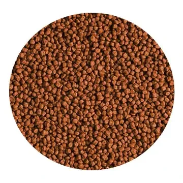 Tropical Red Parrot Gran Açık 100gr - Resim 2