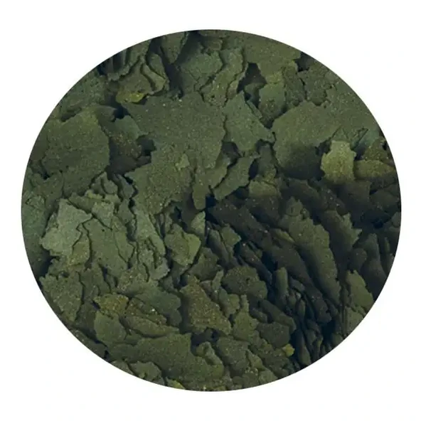 Tropical Super Spirulina Forte Açık 50gr ürün görseli 1