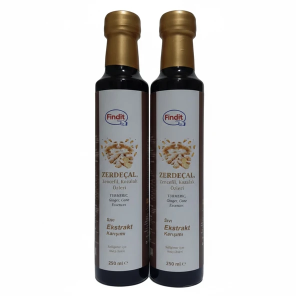 Zerdecal Zencefil Kozalak Özleri, Sıvı Ekstrakt Karışımı, Doğal Bitkisel Destek 250 ml x 2 adet ürün görseli 1