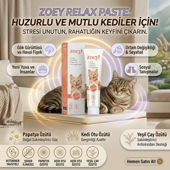 Zoey Relax Paste Stres, Huzursuzluk ve Gerginlik Azaltıcı Kediler İçin Sakinleştirici Macun 100g ürün görseli 1