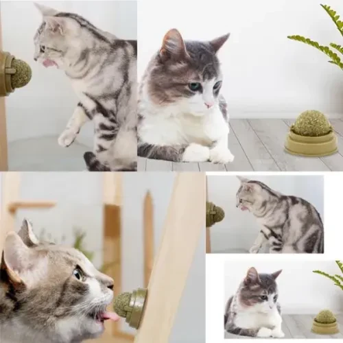 Kedi Nanesi Oyun Topu - Resim 4